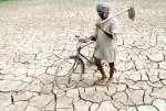A Sikh farmer pushes his bicycle over his farm land. Photo: Reuters/Dikpak Kumar