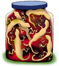 These lizards are yummy!