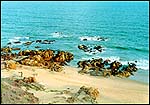 Rishikonda beach